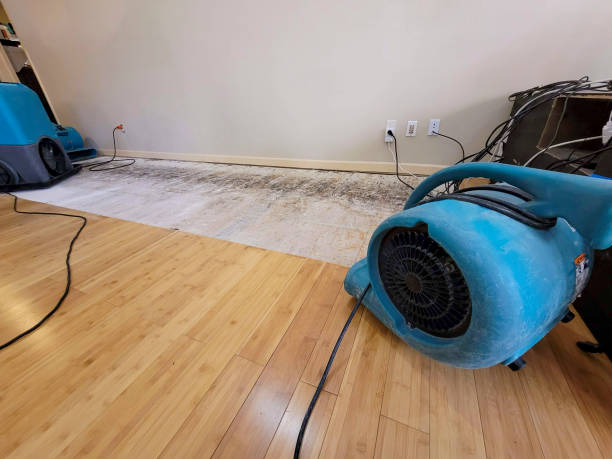 Professional Flood Damage Cleanup technician working in Huntsville, TN
